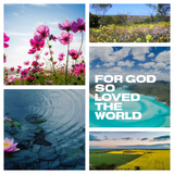 2025 Advent Calendar Pre-Order: For God So Loved the World